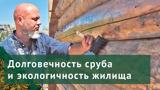 Долговечность сруба и высокая экологичность жилища.