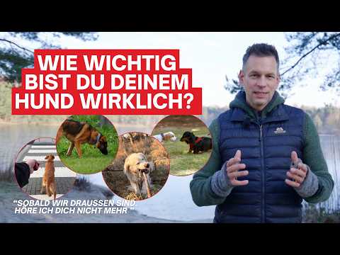 Warum Leckerlis versagen: So wirst du zur wichtigsten Person für deinen Hund