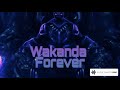 Wakanda Forever(Okoye Remix)