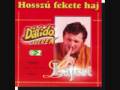 Lagzi Lajcsi aka Darido sings 'Hosszu Fekete Haj ...