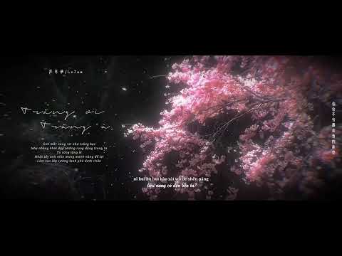 [Vietsub] Trăng ơi Trăng à - Trang Đông Như/LvJam | 月光呀月光 - 庄东茹/LvJam