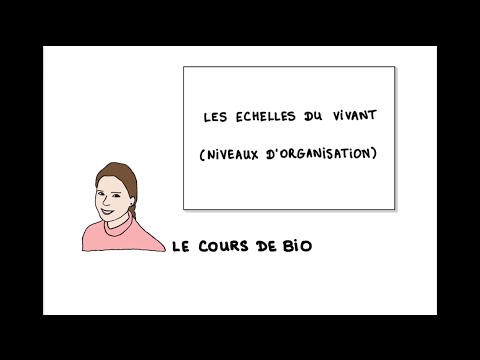 The scales of the Living (levels of organization)