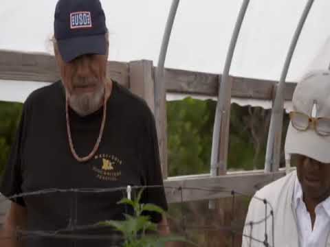 Don Nelson on his weed