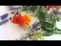 "edible flowers"   by the  finn brothers.