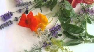 "edible flowers"   by the  finn brothers.