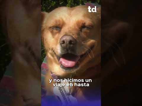 🚲🐶 UNA BICI, UNA MOCHILA Y UNA COMPAÑERA INSEPARABLE