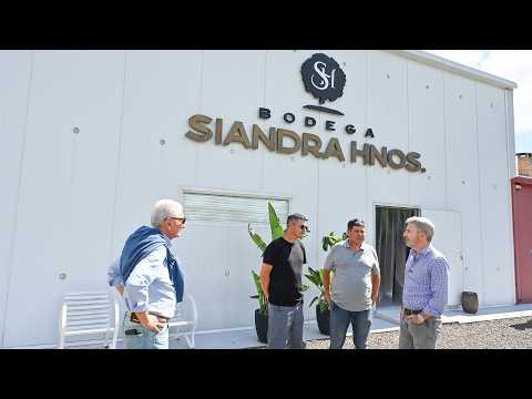 Se declaró emergencia agropecuaria para productores citrícolas afectados en la zona de La Criolla