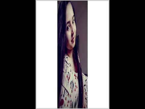 Zinnia's Channel(song)