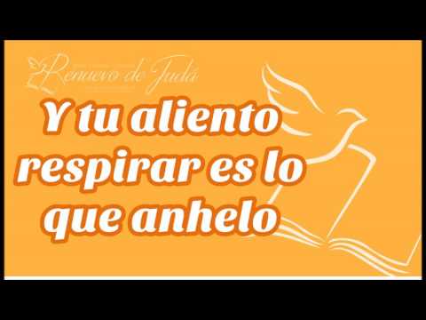 Amor, Amor - Lali Torres