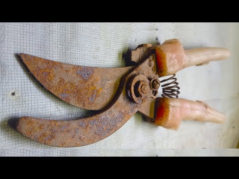 Restoration of old, very rusty garden shears. Mirror polished.