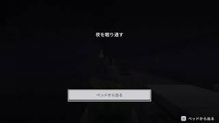 のんびりマイクラ