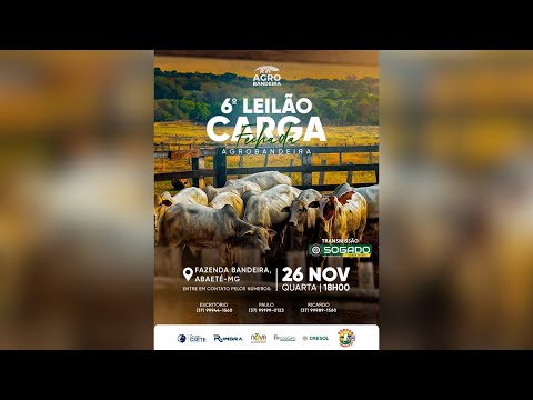 6º LEILÃO CARGA FECHADA - ESPECIAL ANIVERSÁRIO AGRO BANDEIRA EM ABAETÉ/MG - 26/11/2025
