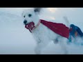 Moonlight Metropolis And Misdirection  A Deep Dive Into Superman S Two Post Credits Scenes