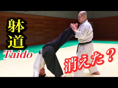 TAIDO, The Body disappears, the Kick appears! 【躰道】消える身体！飛び出す蹴り！