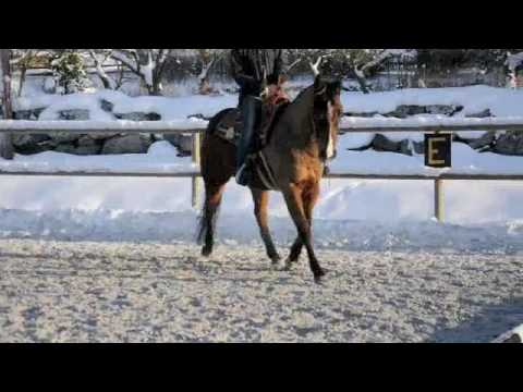 Träning för Mickis