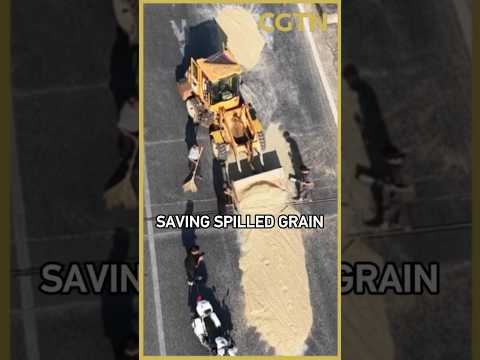 Strangers team up to help truck driver save spilled grain