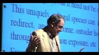 Altruism, Parochialism, and War: Rambo Meets Mother Teresa