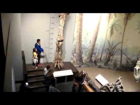 2018 Canada yaz tatili Calgary Alberta Canada ve British Colombia(67)