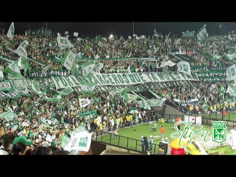 "Cánticos LOS DEL SUR | Atlético Nacional 3 - Deportivo Cali 0, Fecha 11 Liga Ãguila 2015-II" Barra: Los del Sur &bull; Club: Atlético Nacional