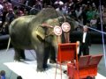 Ringling Circus 2009 Pt 1