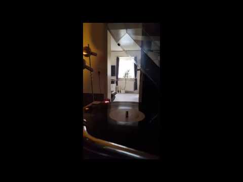 Tom Wilson - Techno Cat // Kellerfund //