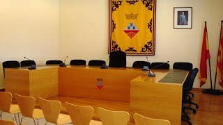 Ple Ordinari de dilluns 18 de gener de 2021