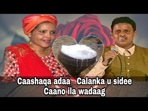 HEES | Cubtan | Cabduqaadir Sanka Iyo Farxiyo Cali Shiikh |▪︎Original | Lyrics (Cawo Iyo Ayaan)