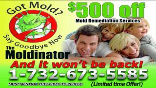 preview picture of video 'Mold Remediation in Middletown- Mold Remediation in Middletown - Mold Remediation Middletown Video'