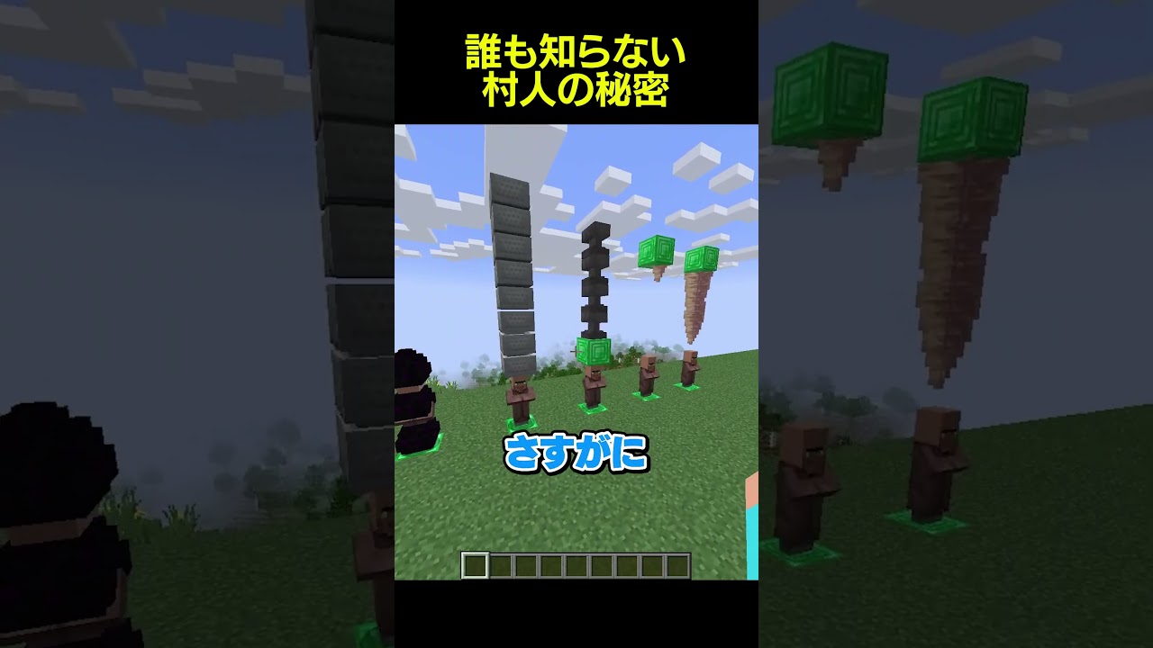 誰も知らない村人の秘密 #shorts #マイクラ