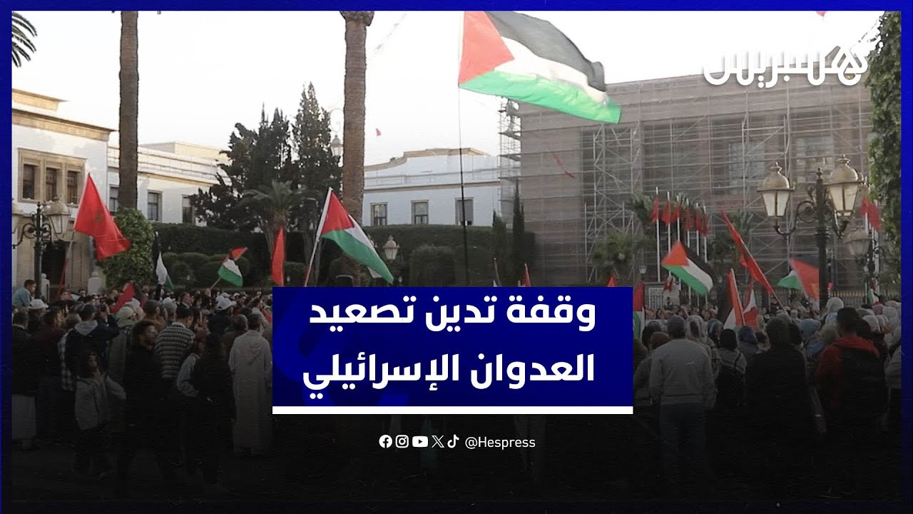 وقفة تدين تصعيد العدوان الإسرائيلي على غزة والتنفيذ الفعلي للتهجير thumbnail