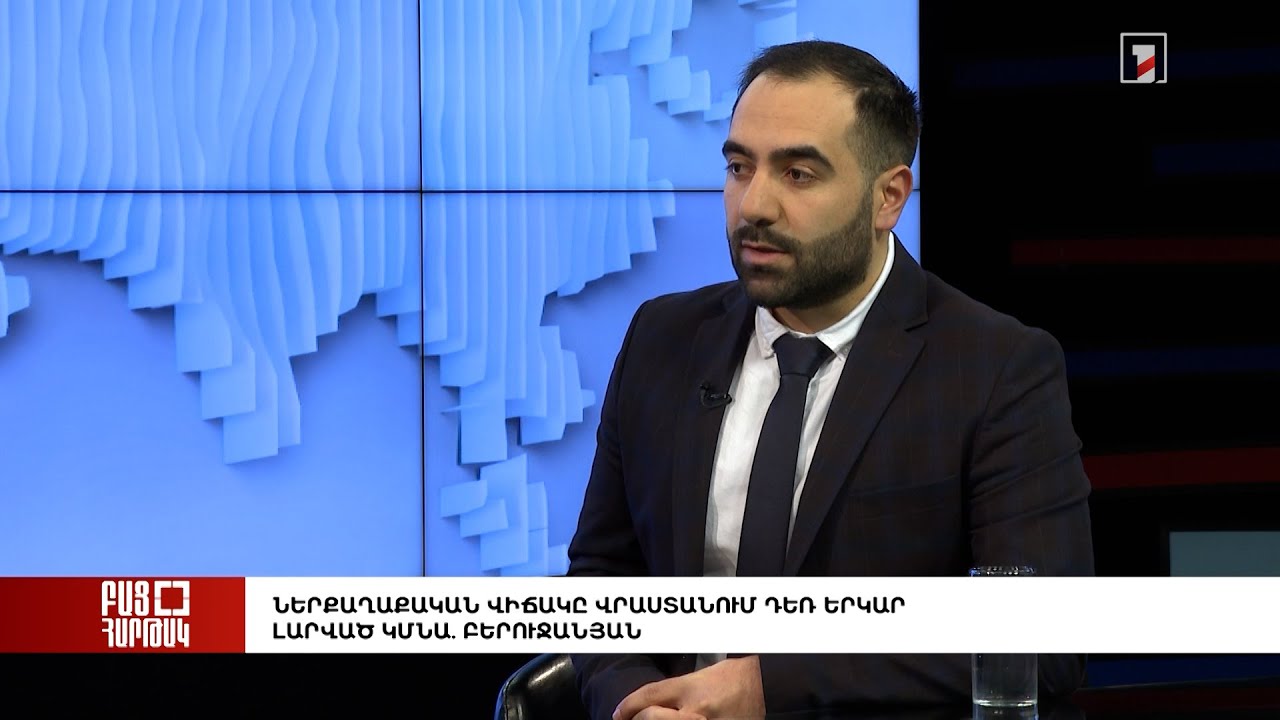 Ներքաղաքական վիճակը Վրաստանում դեռ երկար լարված կմնա. Բերուջանյան