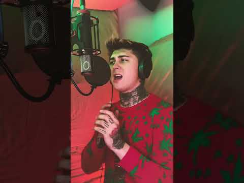 Nickleback- Feed The Machine | Echo The Savage Cover