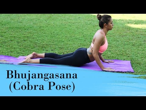 Yoga Asana – Bhujangasana (Kobra-Pose) – lindert Stress und Müdigkeit