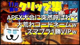 てっとおぶてっと11月前半クリップ集!!　新要素のクモに本気でびびるてっと
