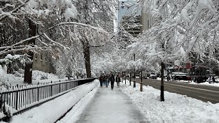 Montreal's First Big Snow of the Season | Monday, 4 December 2023