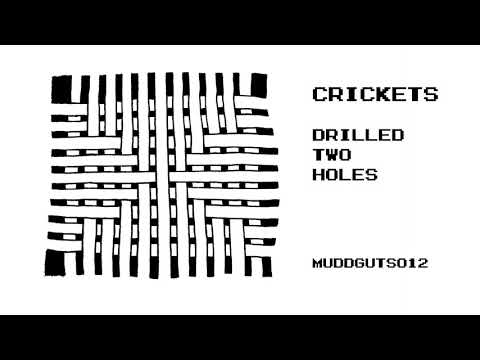 CRICKETS - DRILLED TWO HOLES