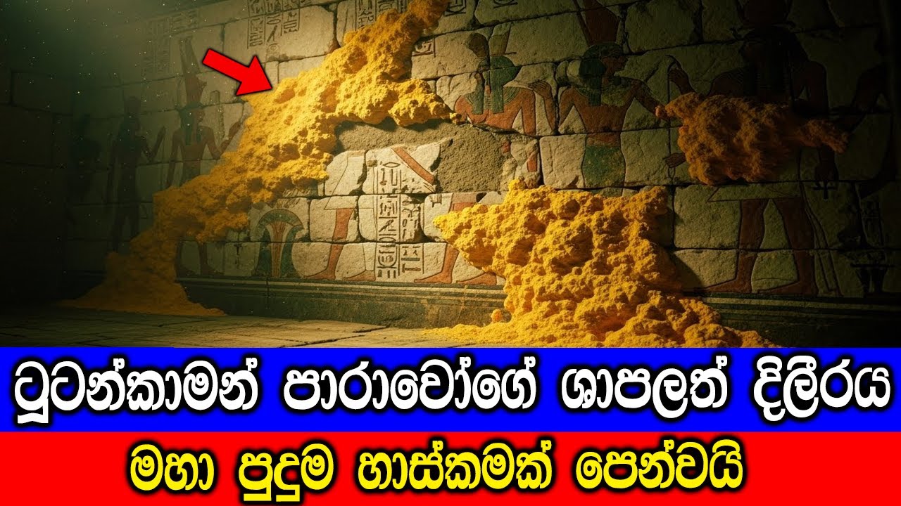 ටුටන්කාමන් රජුගේ සොහොනෙන් හමුවූ දෙයින් විද්‍යාඥයින