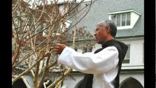 Silence and solitude: a Trappist monk&#39;s life