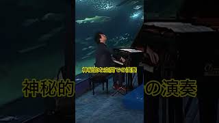 Download lagu Yayoi: Lang Lang performs Saint-Saëns' 'The Aquarium' #LangLang #SaintSaens #TheAquarium #FilmedA... mp3 Download lagu Yayoi: Lang Lang performs Saint-Saëns' 'The Aquarium' #LangLang #SaintSaens #TheAquarium #FilmedA... mp3