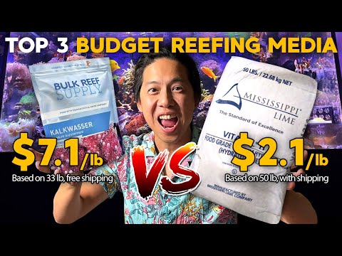 , title : 'Budget Reefing: Cheap Kalkwasser, Nitrate dosing, CO2 Scrubber media!!'