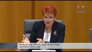 Pauline Hanson asks if pump-jet submarines can only stay underwater for 20mins