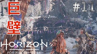 【HorizonForbiddenWest】#11 俺に任せろって道中死んでた奴だぞお前【開かれた空】