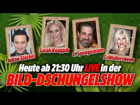 BILD-Dschungel-Show mit Stoeckl, Sarah Knappik, Spengemann, Wollersheim / Tag 2 /14.01.17