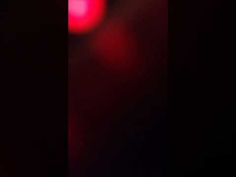 Johnny Dinero volume five