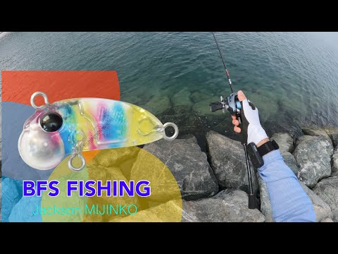 Jackson Mijinko with New 22 Shimano Aldebaran BFS XG