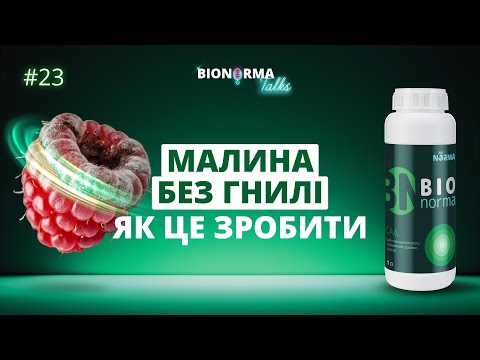 Малина без гнилі? Біонорма Сад від пагонів до ягоди | BioNorma Talks №23