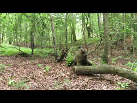 Kommt mit Wir machen einen Sonntags Ausflug auf Schusters Rappen