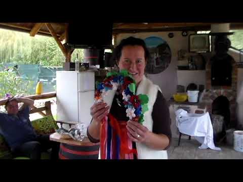 Casa ,,MILIZA,, din Petriș 1(AR)