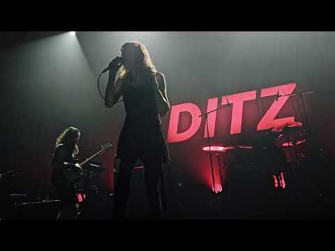 DITZ - 2025 // Don Enzo Magic Carpet Salesman / Taxi Man / Four