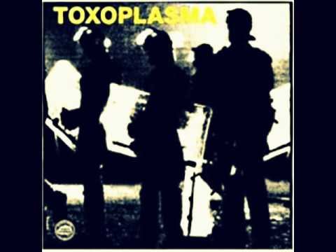 toxoplasma-toxoplasma Lp (full)